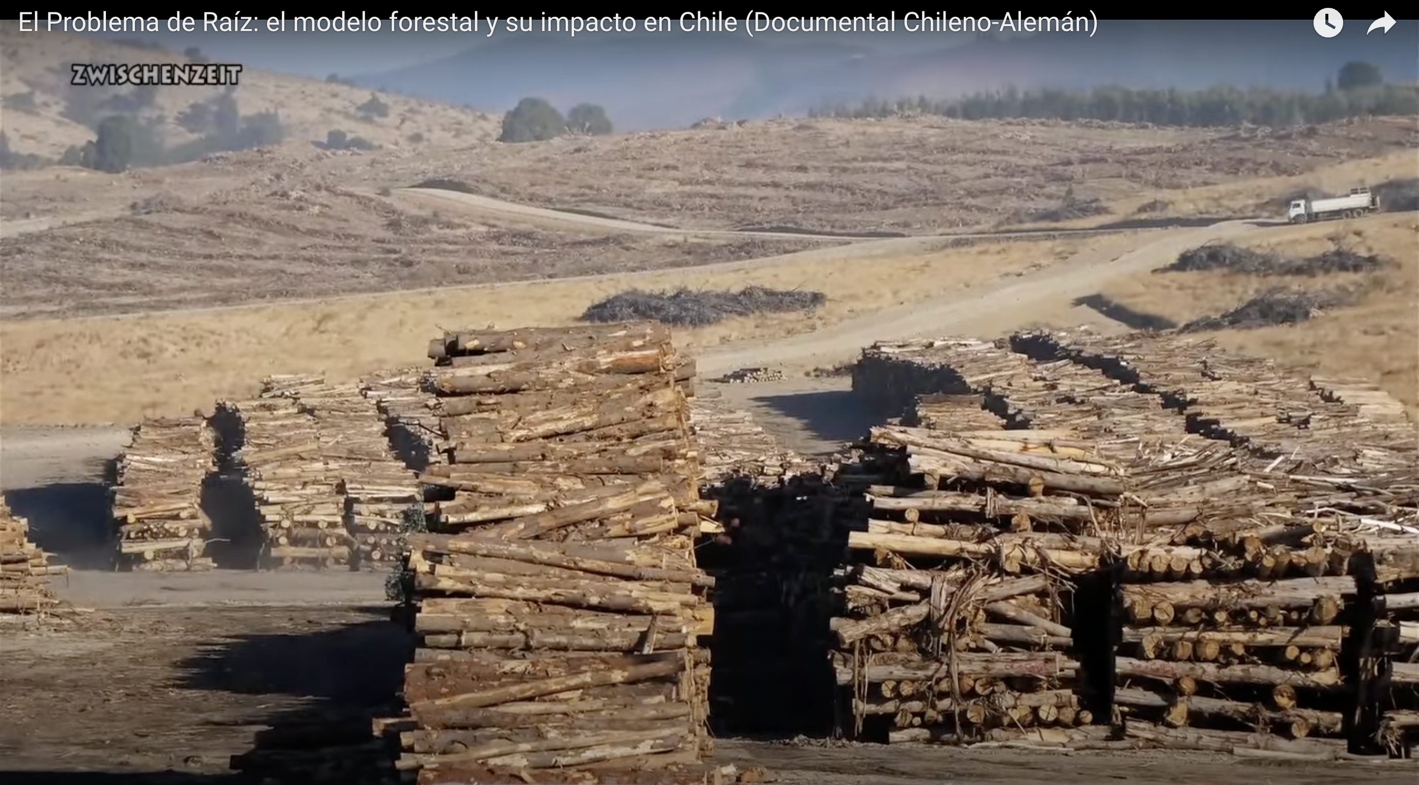 Documental Revelador: «El problema de raíz. El modelo forestal y su impacto en Chile»