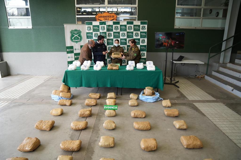 La más grande del año: Carabineros del OS7 Ñuble incautó más de 57 kilos de marihuana en operativo carretero en Pemuco 