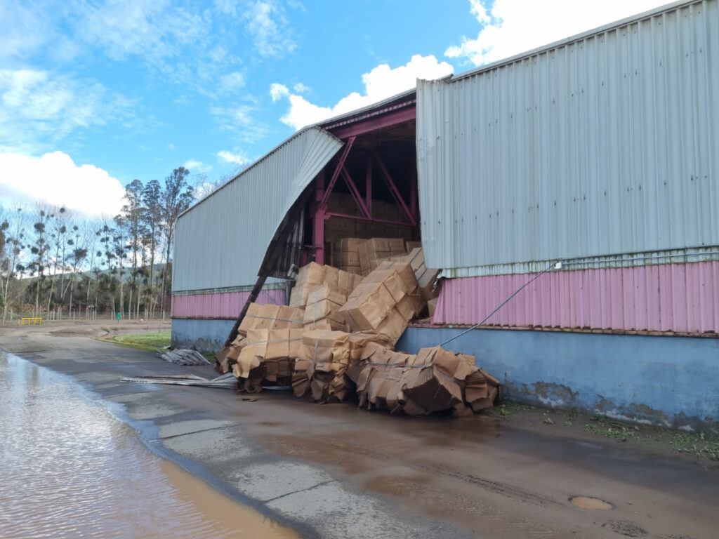 Crisis Ambiental Frena la Máquina de Celulosa Arauco: ¿Es este el futuro de la&nbsp;industria?