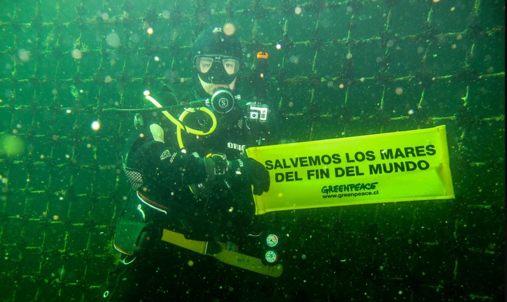 Las principales urgencias Ambientales en Chile que advierte&nbsp;Greenpeace