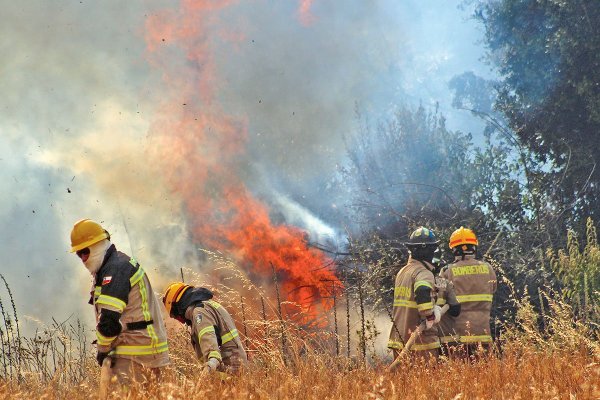 Sorprenden a sujeto iniciando fuego en San Carlos: Delegado Presidencial condenó el&nbsp;hecho