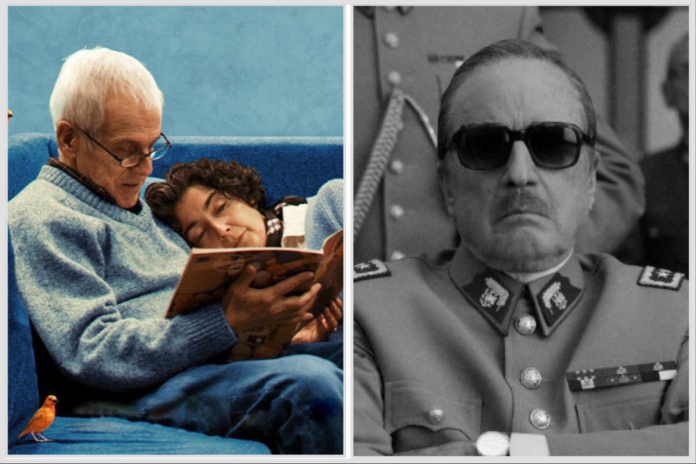 Éxito Chileno: «La Memoria Infinita» y «El Conde» nominadas a los Oscar 2024