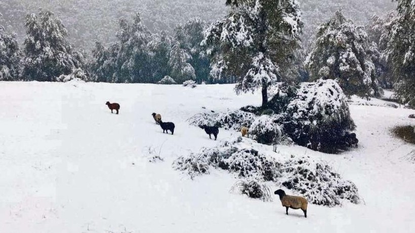 Ñuble logra superávit histórico de nieve y asegura agua para riego y consumo humano en 2024