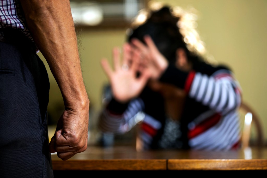 SernamEG Ñuble representará judicialmente a víctima de femicidio frustrado en San&nbsp;Carlos