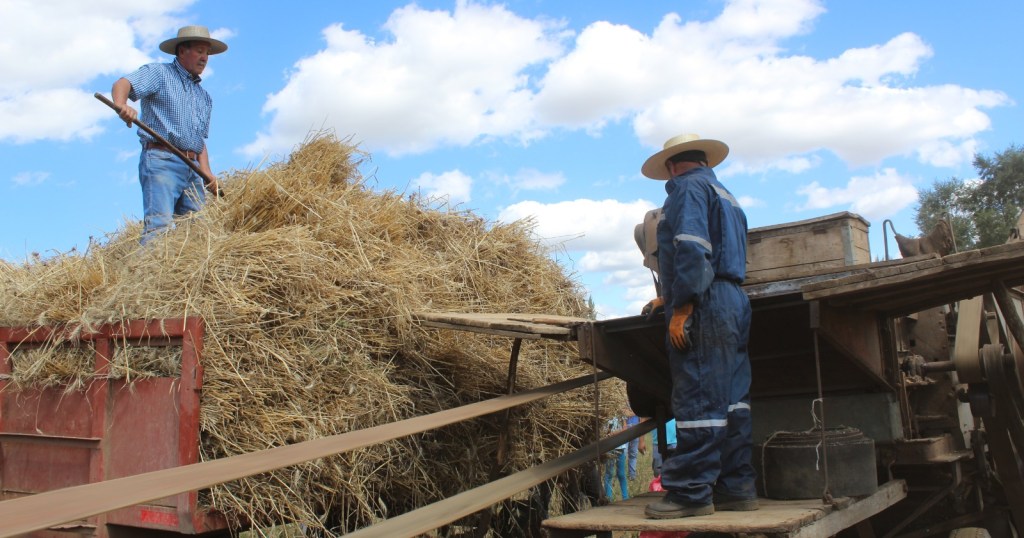 Acusan bajos precios de compra de cereales en El&nbsp;Carmen
