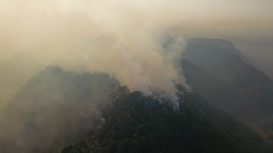 Grave Incendio forestal en Jungla Peumayén lleva 650 hectáreas consumidas y amenaza biodiversidad