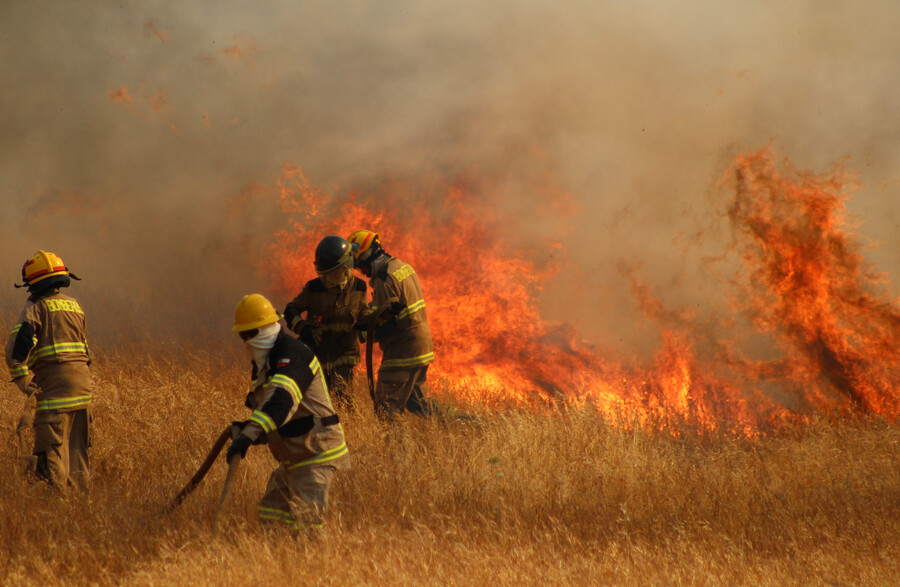 [VIDEO] Declaran Alerta Roja en Chillán por incendio forestal en sector Ultraestación