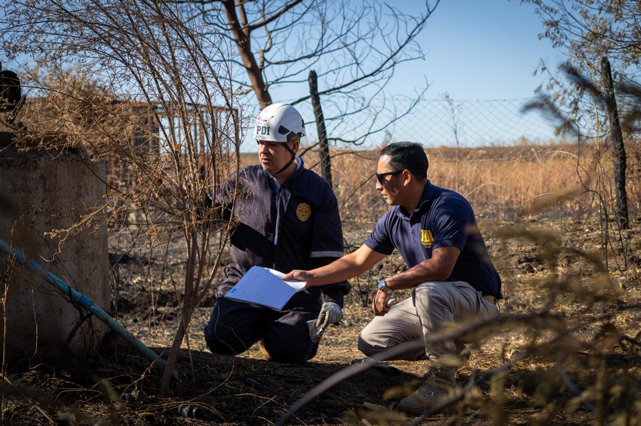 PDI mantiene 25 órdenes de investigar incendios forestales en Ñuble