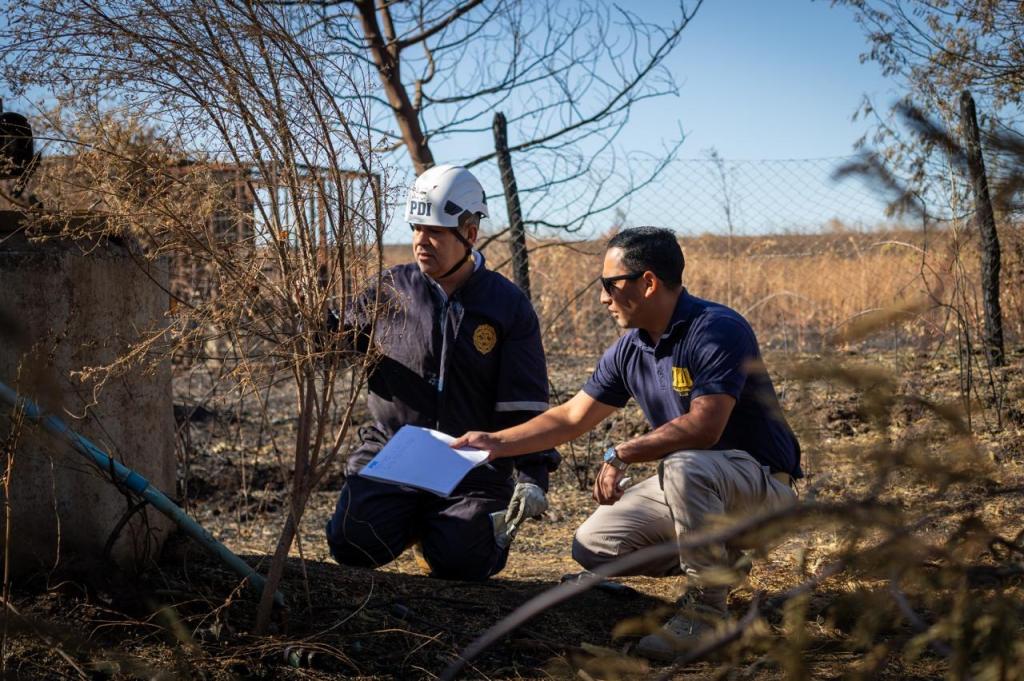 PDI mantiene 25 órdenes de investigar incendios forestales en&nbsp;Ñuble