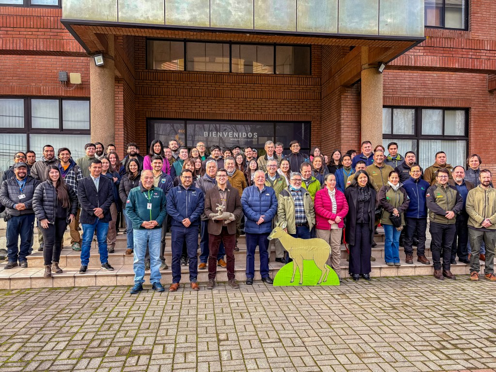 Seremi del Medio Ambiente Ñuble anuncia Plan de Acción Binacional de Conservación en el marco del Día del Huemul  