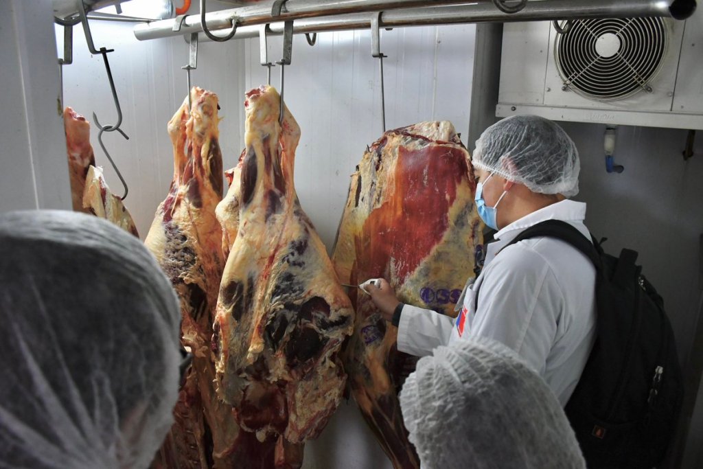 Más de 2 mil kilos de carne fueron decomisados durante Fiestas Patrias en&nbsp;Ñuble