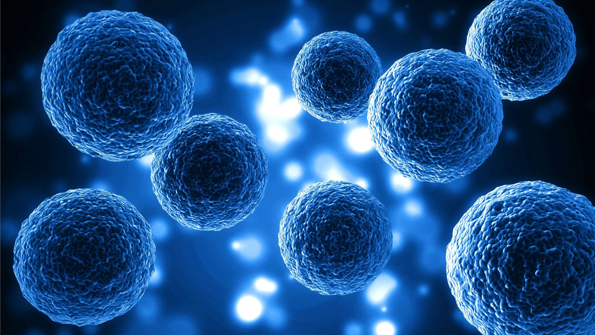 Nobel de Medicina 2025: el hallazgo que revoluciona la inmunología y abre nuevas vías terapéuticas