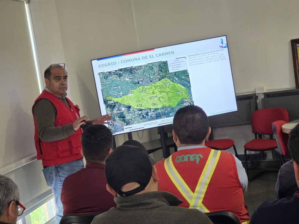 El Carmen: Activan COGRID Comunal para reforzar prevención de incendios&nbsp;forestales