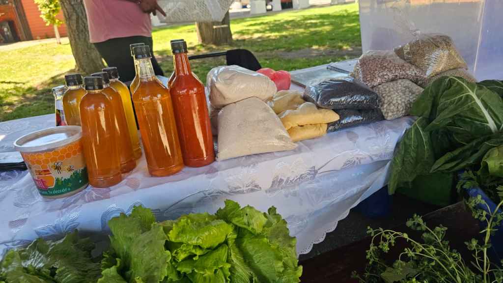 El Carmen vivirá este viernes la versión 2025 de su Expo&nbsp;Prodesal