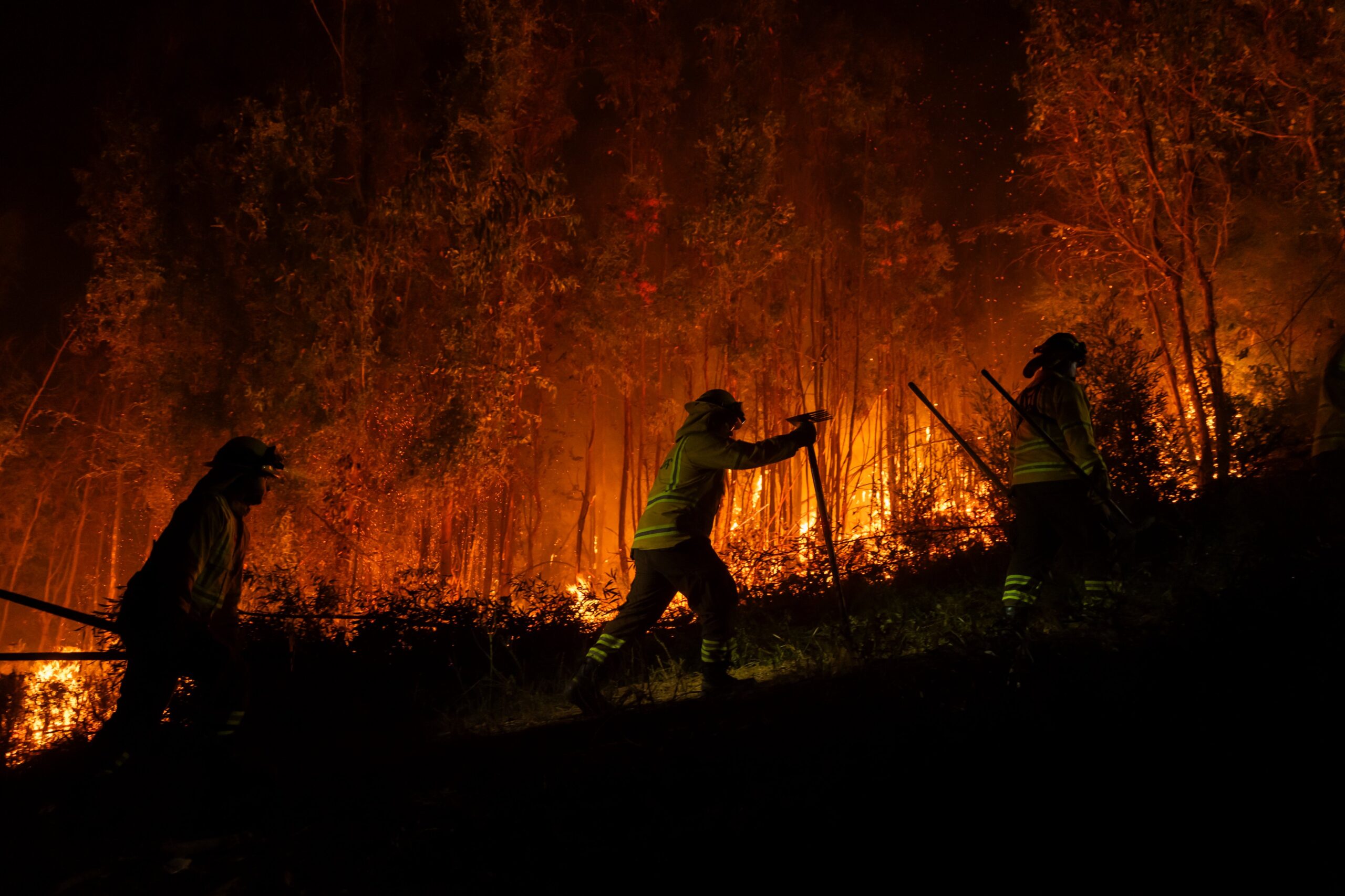 Cuando el fuego deja de ser sorpresa
