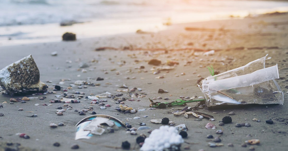 El residuo más pequeño, el daño más grande: lo que revela un estudio sobre playas contaminadas