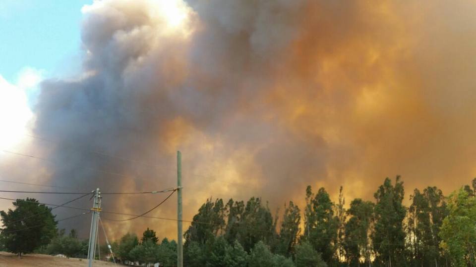 Nuevo incendio forestal en San Nicolás obliga a evacuar sectores y decreta Alerta Roja comunal