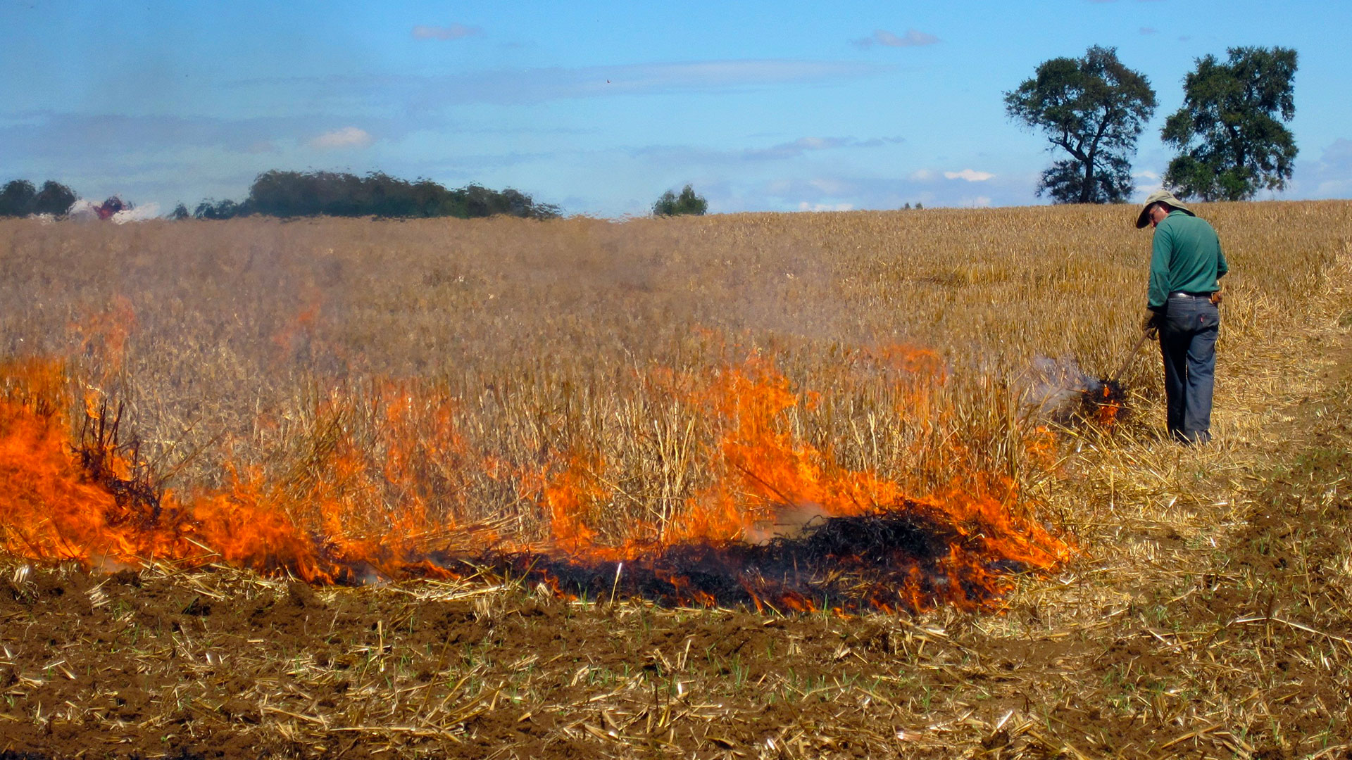 CONAF restringe uso del fuego para desechos agrícolas y forestales en Chillán y Chillán Viejo